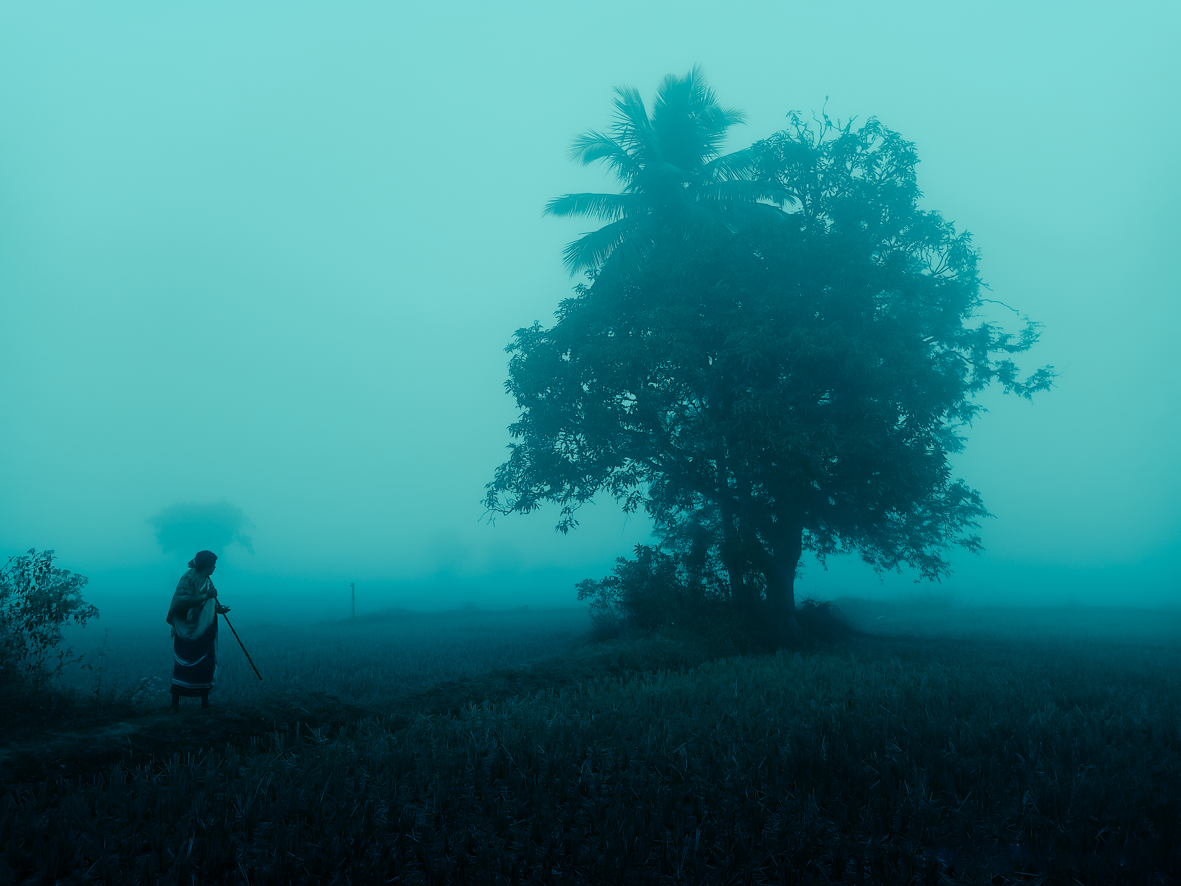 Rural People In Urban